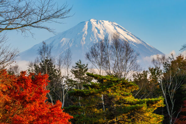 From Tokyo: Mt. Fuji One Day Private Customizable Tour