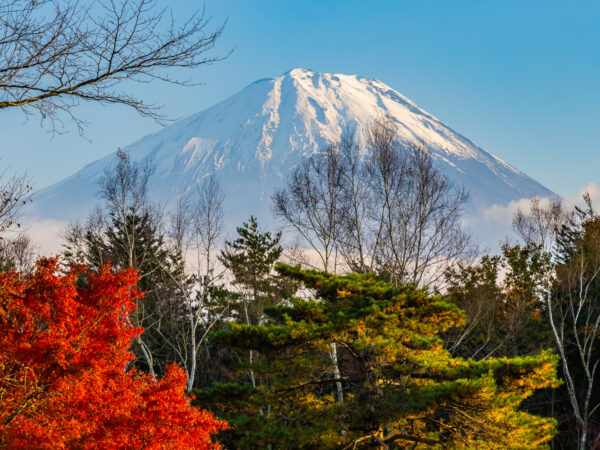 From Tokyo: Mt. Fuji One Day Private Customizable Tour