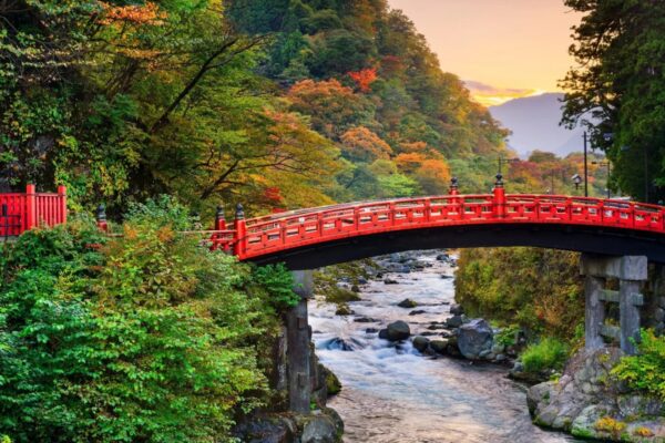 From Tokyo: Nikko World Heritage Sites Private Day Tour