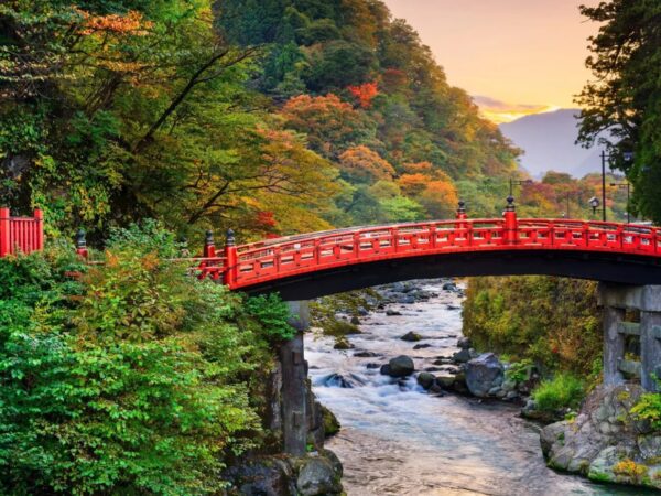 From Tokyo: Nikko World Heritage Sites Private Day Tour