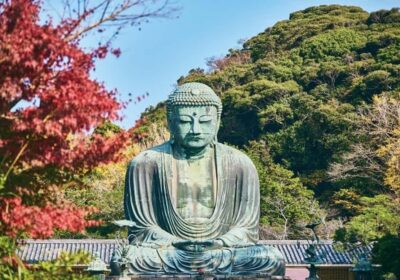 Tokyo: Kamakura Full Day Private Customizable Tour