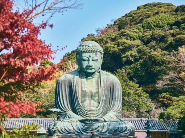 Tokyo: Kamakura Full Day Private Customizable Tour