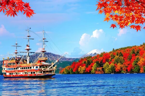 From Tokyo: Mt Fuji & Hakone One Day Private Tour