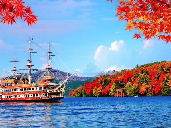 From Tokyo: Mt Fuji & Hakone One Day Private Tour